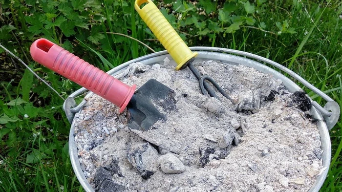 Under hvilke frugttræer og buske må du ikke hælde træaske, ellers vil haven simpelthen dø